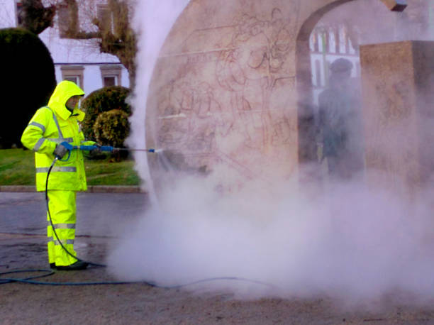 Best Pressure Washing Near Me  in Needville, TX