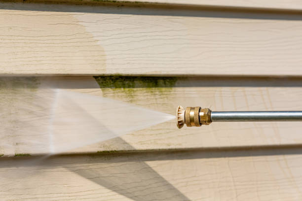 Best Pressure Washing Patio  in Needville, TX