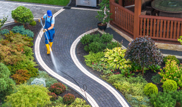 Best Pressure Washing Company Near Me  in Needville, TX